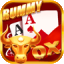 new rummy app download icon