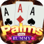 rummy earning game icon